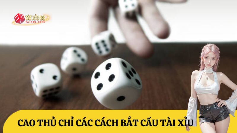 cách bắt cầu tài xỉu