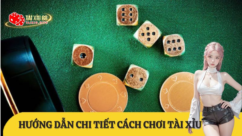 hướng dẫn cách đánh tài xỉu hiệu quả