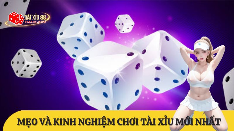 Chuyên mục chia sẻ kinh nghiệm và mẹo chơi tài xỉu 88