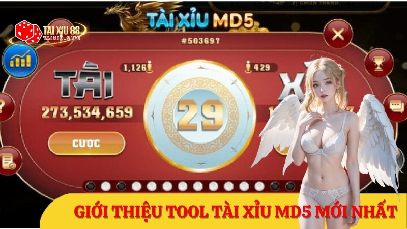 Tool tài xỉu MD5