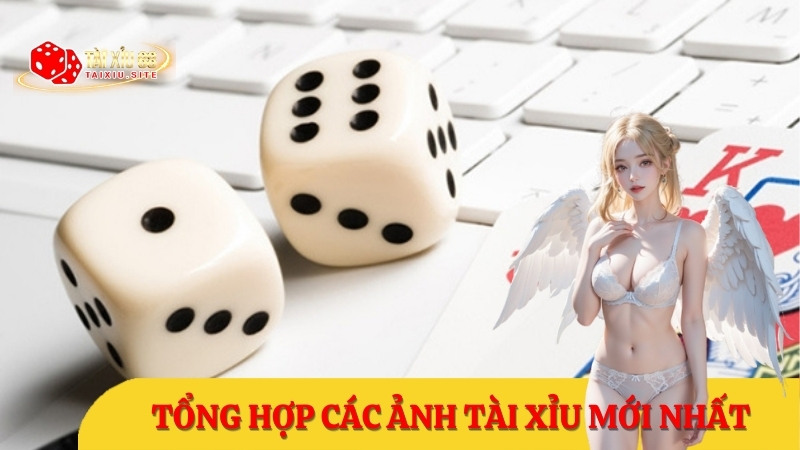 Kho hình ảnh tài xỉu offline và online đổi thưởng mới nhất 2024